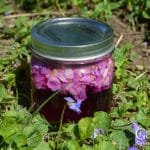 See how simple it is to infuse vinegar with a subtle violet sweetness and a purple flush of color. Wild violet infused vinegar can be used to make delicious salad dressing for spring vegetables and as a marinade for meats or grilled vegetables.